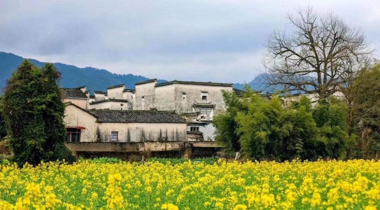 Xishan Wutong Qinyuan Huangshan Exteriör bild